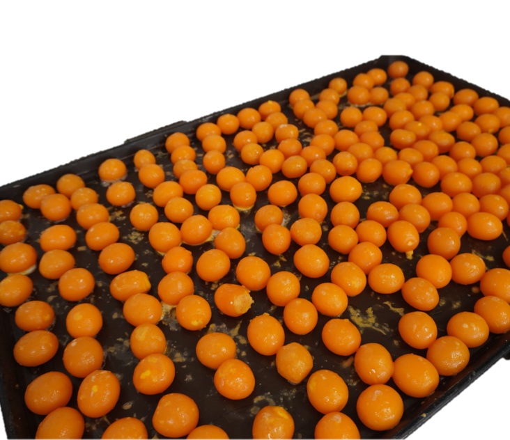 產品圖片